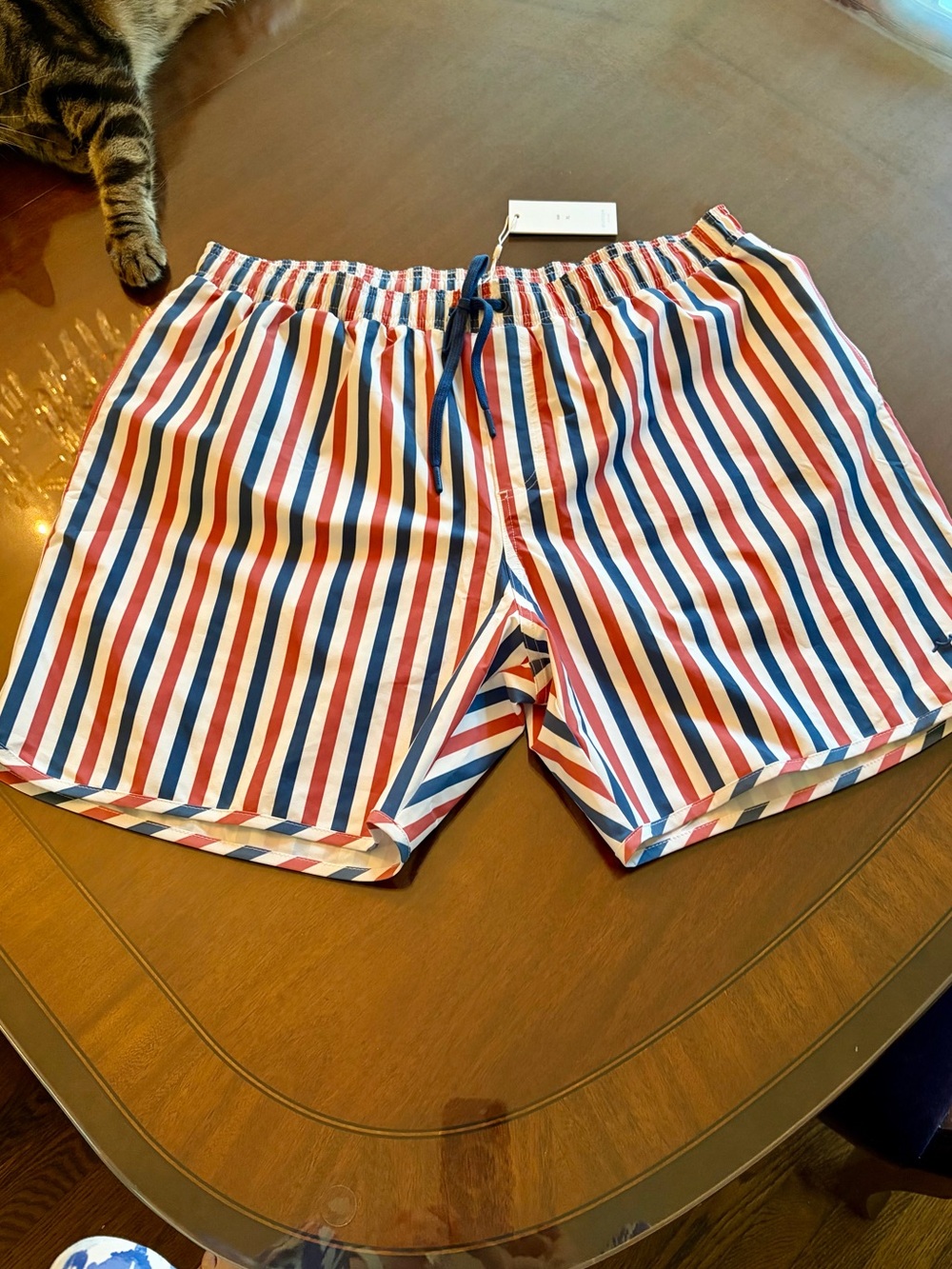 Men’s Minnow Surfrider Stripe Boardie Swimsuit/Shorts